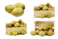 Mixed kiwi fruit in a wooden crate Royalty Free Stock Photo