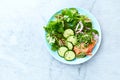 Mixed leaf salad with smoked salmon, spinach, cucumber, red onion, herbs and black kumin. Royalty Free Stock Photo