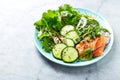 Mixed leaf salad with smoked salmon, spinach, cucumber, red onion, herbs and black kumin.