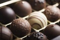 Mixed luxury dark and milk chocolate truffles. Assorted delicious handmade chocolate pralines in a row. Full frame background. Royalty Free Stock Photo