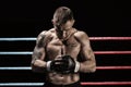 Mixed martial artist posing in boxing ring. Concept of mma, ufc, thai boxing, classic boxing