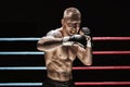 Mixed martial artist posing in boxing ring. Concept of mma, ufc, thai boxing, classic boxing
