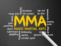 Mixed Martial Arts Royalty Free Stock Photo