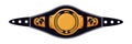 Mixed martial arts champion belt on white backdrop Royalty Free Stock Photo