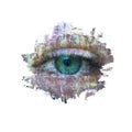 Mixed media. Contemporary art fashion grunge background. Beautiful green female eye