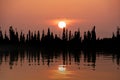 Mixed media image of photo and illustration landcape of Spring dawn over reservoir lake with sunrise glow spreading aross the