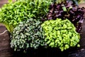 MIXED MICROGREENS