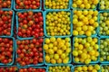 Mixed mini cherry tomatoes market closeup Royalty Free Stock Photo