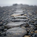 Mixed monotone pebbles fill the narrow path, each step a crunch in a world of grey
