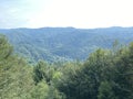 Mixed mountain forest in the valley of the source of the river Kupa, Razloge - Region of Gorski kotar, Croatia Royalty Free Stock Photo