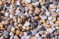 Mixed of multi-color of pebble stones background.