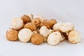 Mixed mushrooms isolated on white Royalty Free Stock Photo