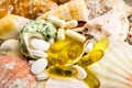 Mixed natural food supplement pills on the beautiful seashells background