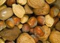 Mixed Nuts Royalty Free Stock Photo