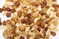 mixed nuts  -  hazelnuts, walnuts, cashews,  pine nuts Royalty Free Stock Photo