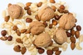 mixed nuts  -  hazelnuts, walnuts, cashews,  pine nuts Royalty Free Stock Photo