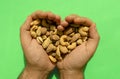 Mixed nuts in man`s hands forming heart shape on green background. Top view