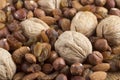 Mixed raw nuts and raisins Royalty Free Stock Photo