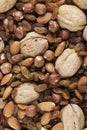 Mixed raw nuts and raisins Royalty Free Stock Photo