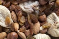 Mixed nuts and raisins Royalty Free Stock Photo