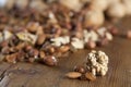 Mixed nuts, raisins and single hulled walnut Royalty Free Stock Photo