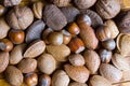 Mixed nuts in the shell Royalty Free Stock Photo