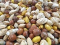 Mixed nuts top view. Many nuts