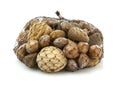 Mixed nuts - walnuts, hazelnuts, almonds in a net bag Royalty Free Stock Photo