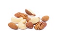 Mixed fresh nuts Royalty Free Stock Photo