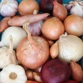 Mixed onions, shallots and garlic of different varieties Royalty Free Stock Photo