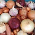 Mixed onions, shallots and garlic of different varieties Royalty Free Stock Photo