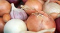 Mixed onions, shallots and garlic of different varieties Royalty Free Stock Photo