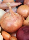 Mixed onions, shallots and garlic of different varieties Royalty Free Stock Photo