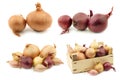 Mixed onions and some in a wooden box Royalty Free Stock Photo