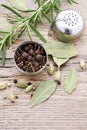 Mixed pepper corns and rosemary Rosmarinus officinalis Royalty Free Stock Photo