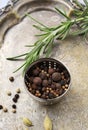 Mixed pepper corns and rosemary Rosmarinus officinalis Royalty Free Stock Photo