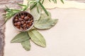 Mixed pepper corns and rosemary Rosmarinus officinalis Royalty Free Stock Photo