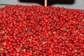 Mixed peppercorns background. Different colored peppercorns, close up Royalty Free Stock Photo