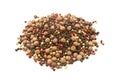 Mixed peppercorns - black, white, pink, green, pimento Royalty Free Stock Photo