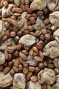 Mixed pile of raw nuts, dried figs and raisins Royalty Free Stock Photo