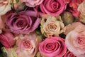 Mixed pink roses