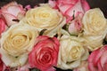 Mixed pink and white roses