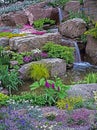 Mixed planted alpine Rockery and waterfall in a country garden Royalty Free Stock Photo