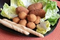 Mixed plate of fried appetizers Royalty Free Stock Photo
