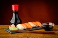 Mixed plate with nigiri sushi Royalty Free Stock Photo