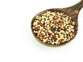 Mixed Quinoa in wooden spoon isolated on white background Royalty Free Stock Photo