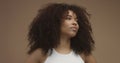 Mixed race black woman portrait with big afro hair, curly hair Royalty Free Stock Photo