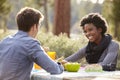Mixed race couple talking at a picnic table, close up Royalty Free Stock Photo