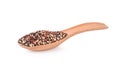Mixed raw quinoa in wood spoon isolated on white background Royalty Free Stock Photo