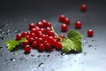 Mixed red currant berries on a black wet background, with a green leaf, closeup Royalty Free Stock Photo